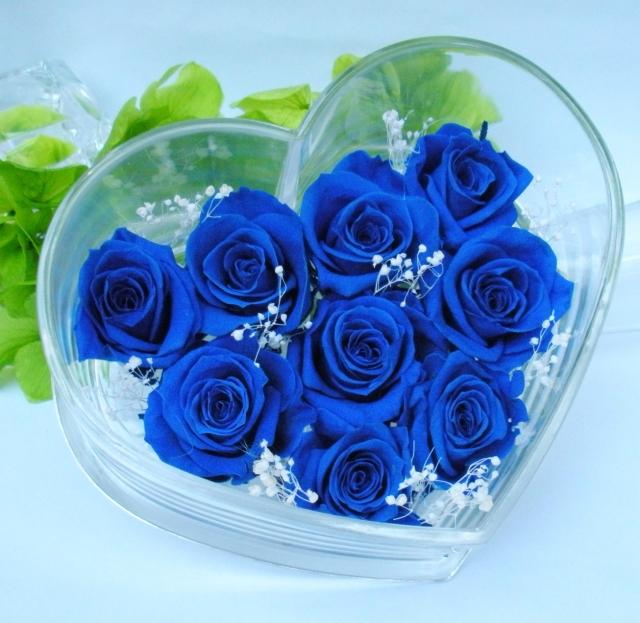 Bó hoa hồng xanh