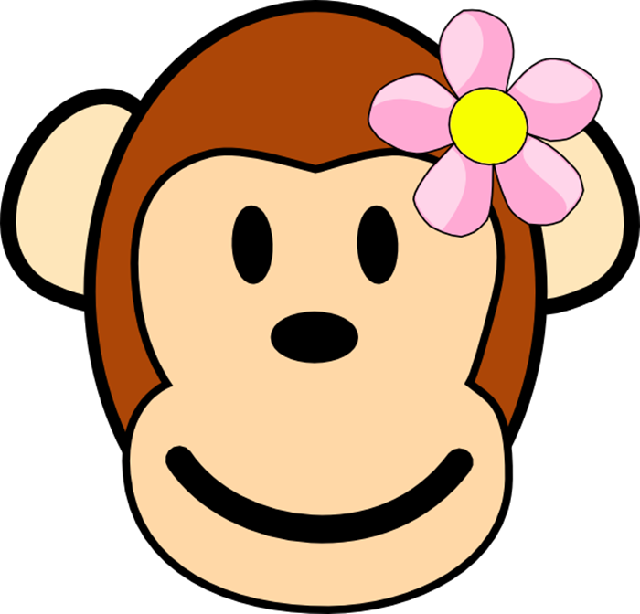 Hình ảnh khỉ con đáng yêu