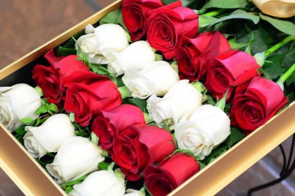 1. Hoa hồng - Ngày Lễ Vu Lan Báo Hiếu Nên Tặng Gì Cho Bố Mẹ