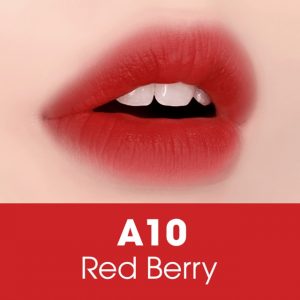 Son Black Rouge Mood Filter A10 – Đỏ Cam Hồng Đất