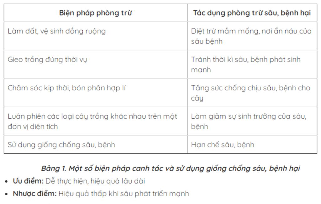 1-cho-biet-bien-phap-canh-tac-va-su-dung-giong-chong-sau-benh-hai-chi-phi-it-nhung-mang-lai-nhie