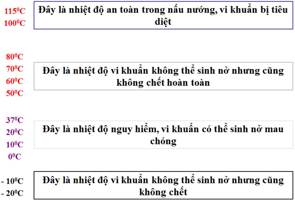 1-em-hay-ke-ten-cac-nhom-chat-dinh-duong-can-thiet-cho-co-the-2-em-hay-cho-biet-chuc-nang-cua-ch