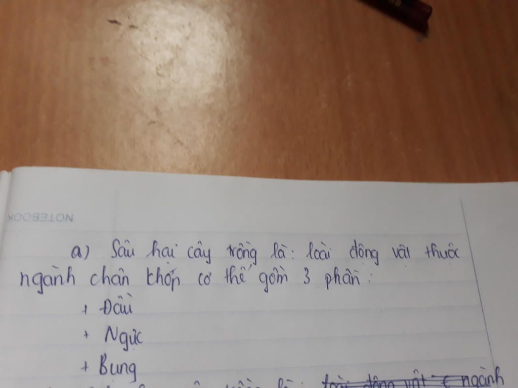 a-sau-hai-cay-trong-la-gi-b-benh-cay-trong-la-gi