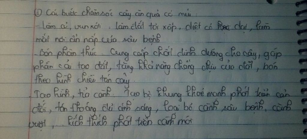 cac-buoc-cham-soc-cay-an-qua-co-mui-sgk-trang-26-27-ke-ten-mot-so-giong-cay-an-qua-co-mui-cua-nu