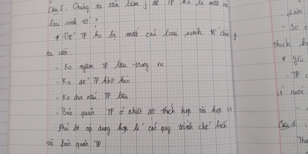 can-lm-j-de-thuc-pham-ko-bi-mat-cac-loai-sinh-to