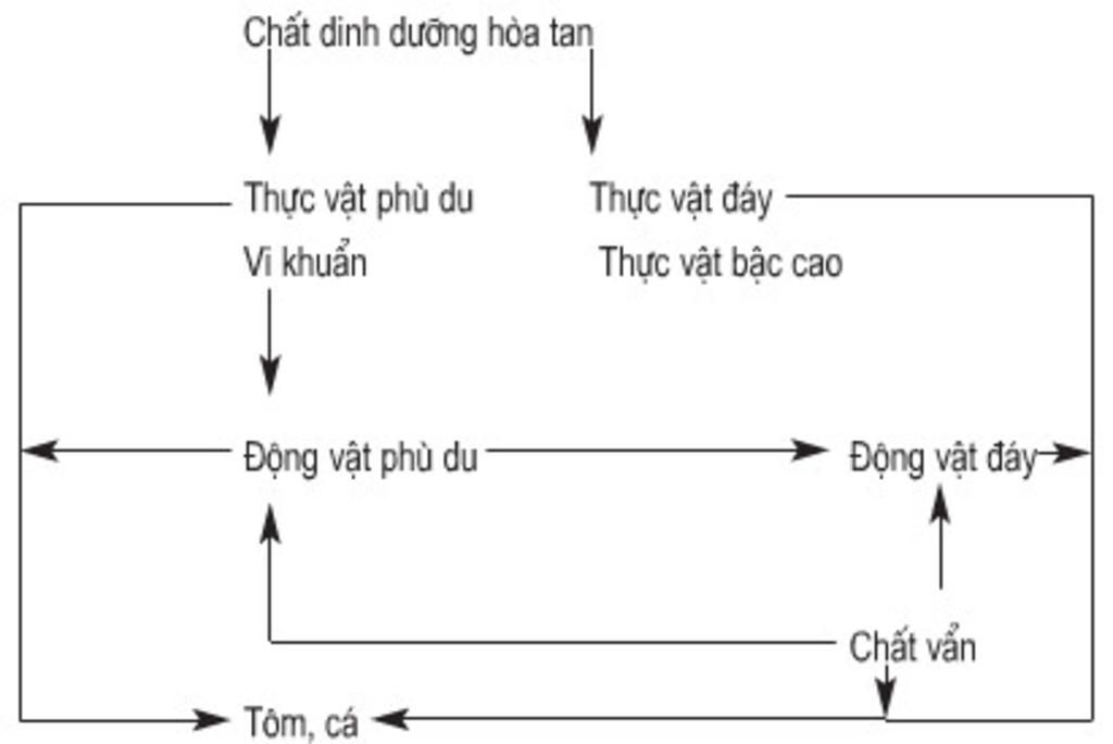 cau-1-hay-neu-nhung-hieu-biet-ve-vai-tro-cua-chuong-nuoi-va-bien-phap-ve-sinh-trong-chan-nuoi-ca