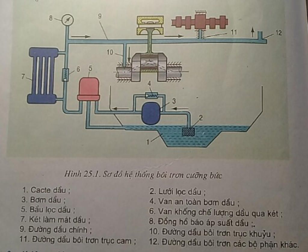 dua-vao-so-do-khoi-the-hien-nguyen-li-lam-viec-cua-he-thong-boi-tron-kieu-tuan-hoan-cuong-buc-be