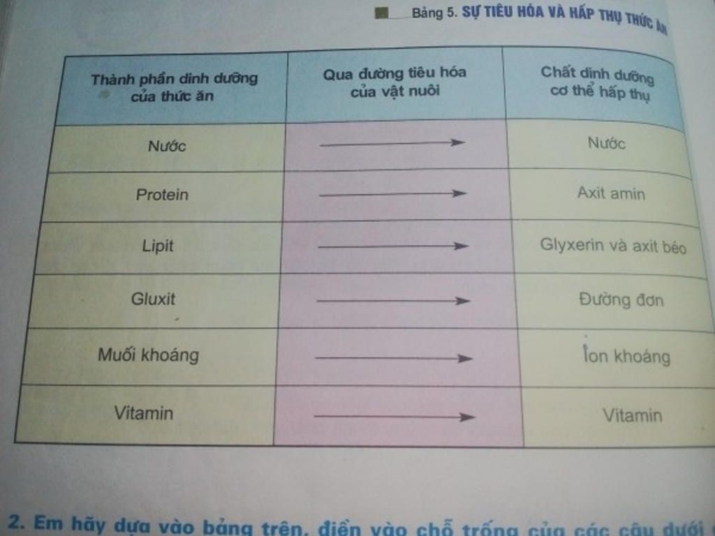 em-hay-cho-biet-nuoc-protein-gluit-lipit-duoc-hap-thu-vao-co-the-nhu-the-nao