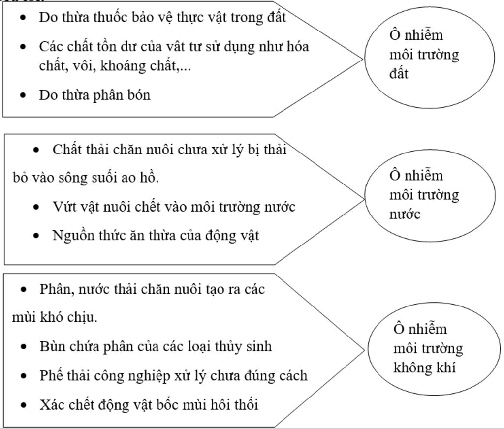 hay-neu-anh-huong-cua-phan-bo-doi-voi-moi-truong-con-nguoi-va-cac-sinh-vat-khac-khi-su-dung-khon