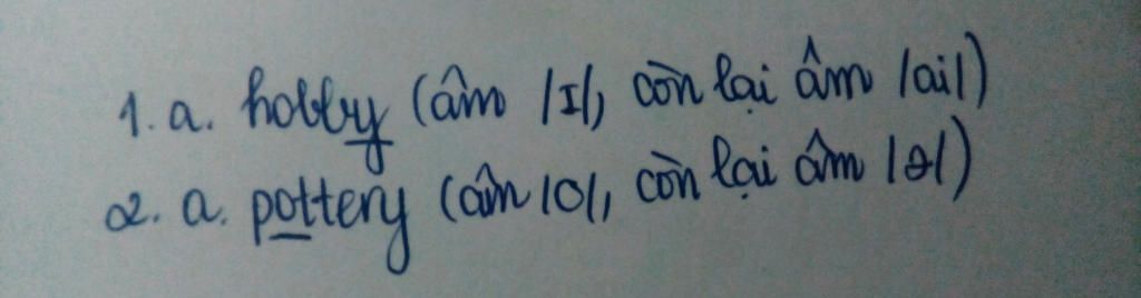 i-choose-the-word-whose-underlined-part-is-pronounced-differently-from-the-others-1-a-hobby-b-cy