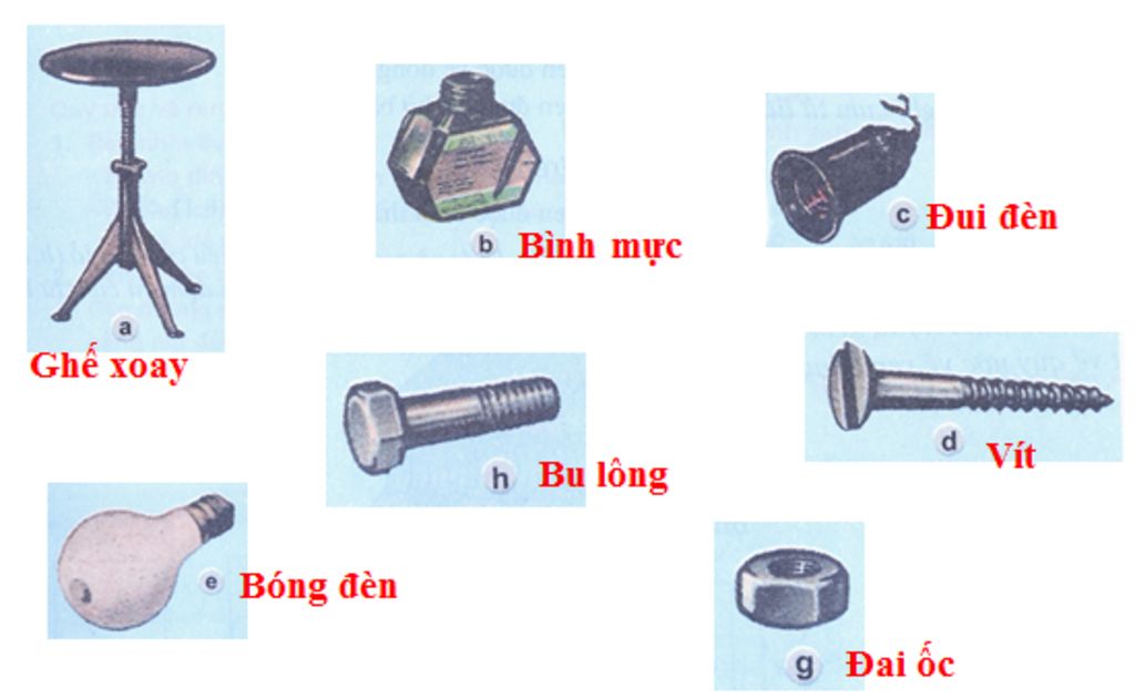 lay-5-vd-ve-chi-tiet-ren-trong-thuc-te-va-cho-bt-cong-dung-cua-chung