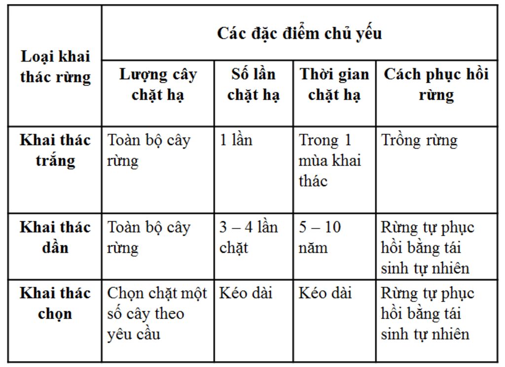 neu-dac-diem-khai-thach-rung-hien-nay-o-dia-phuong-em-tu-do-rut-ra-mot-so-bien-phap-khac-phuc-nh