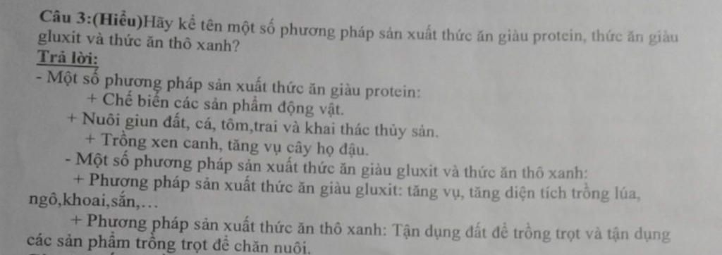 neu-mot-so-phuong-phap-san-uat-thuc-an-giau-protein-thuc-an-giau-gluit-thuc-an-tho-anh-cho-vat-n