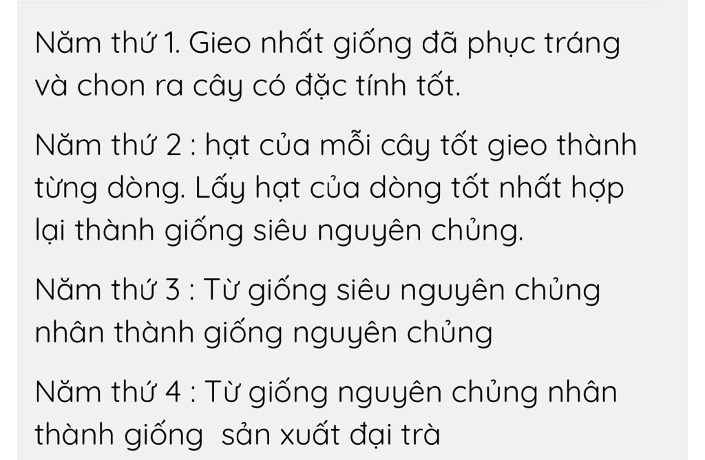 neu-quy-trinh-san-uat-giong-cay-trong-bang-hat