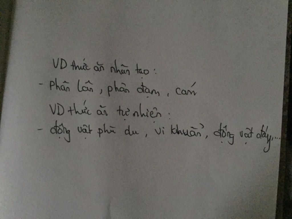 neu-vd-cua-thuc-an-tu-nhien-va-thuc-an-tao-cua-tom-ca