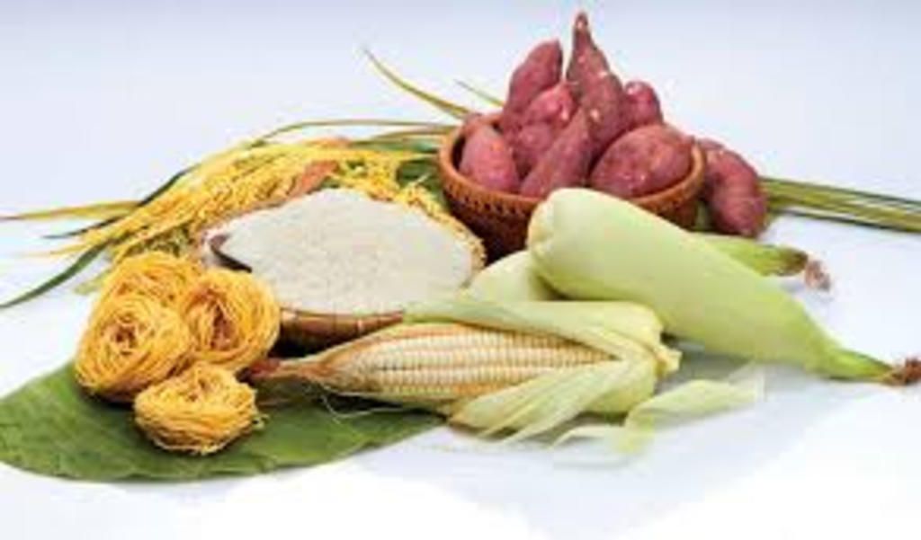 phan-loai-thuc-an-cho-vi-du-minh-hoa-cho-minh-in-i-kien-a