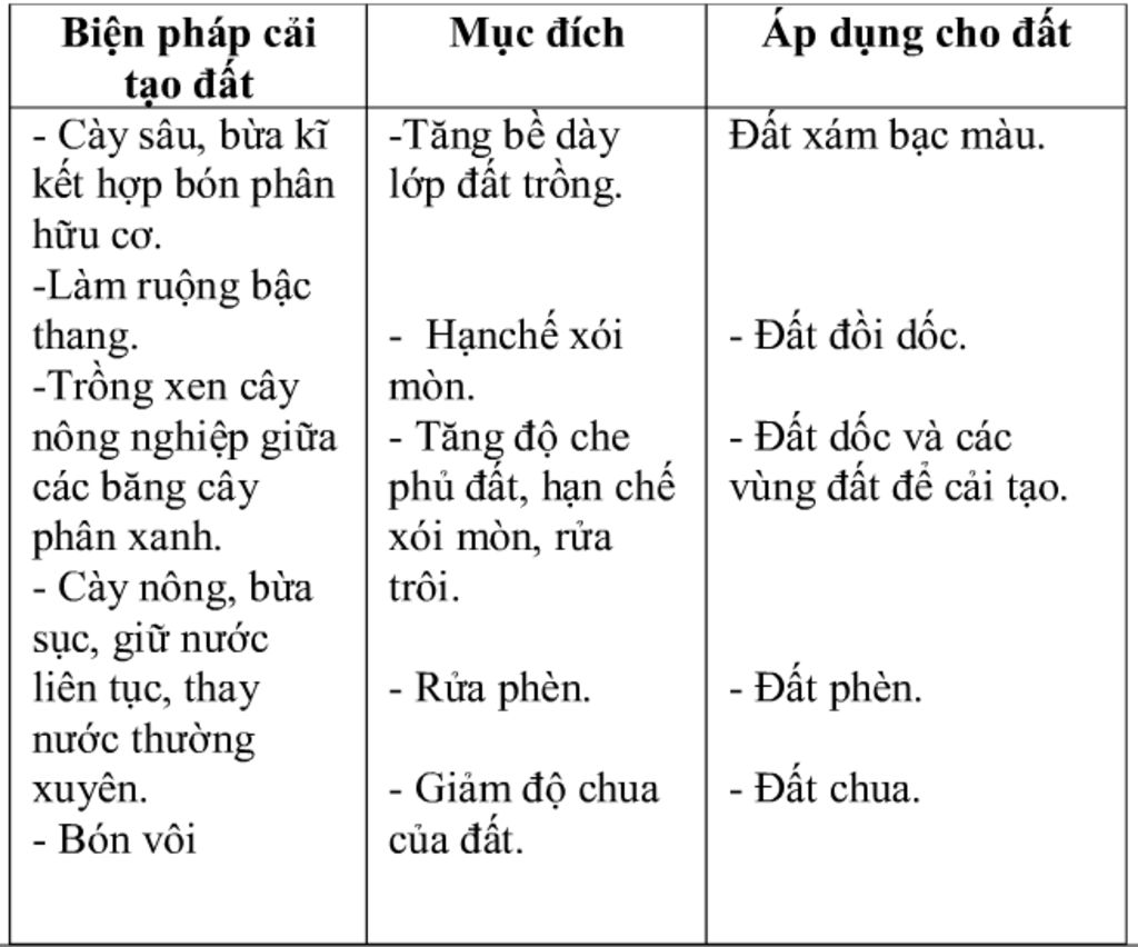 phuong-phap-cai-tao-dat-muc-dich-viec-lam-dat-huong-uong-theo-huong-nao-de-cay-duoc-nhan-nhieu-a