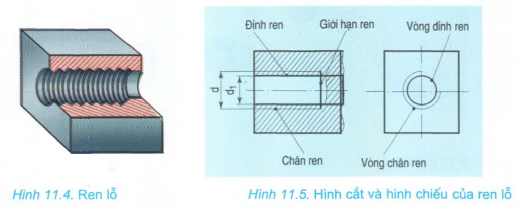 quy-uoc-ve-ren-truc-va-ren-lo-giong-va-khac-nhau-nhu-the-nao