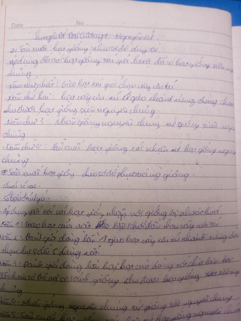 san-uat-theo-so-do-duy-tri-va-phuc-trang-duoc-tien-hanh-may-nam-va-nam-dau-tien-la-gi