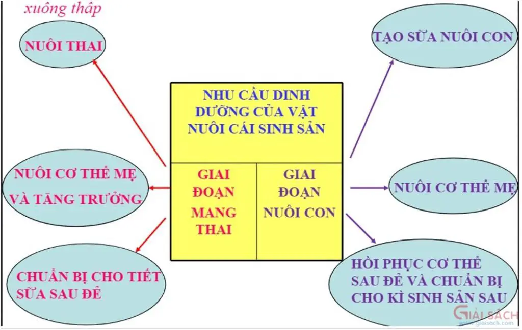 so-do-tu-duy-bai-45-cong-nghe-7