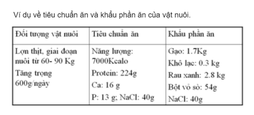 so-sanh-tieu-chuan-an-va-khau-phan-an-cua-vat-nuoi