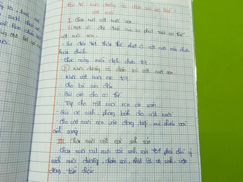 soan-baid-nuoi-duong-va-cham-soc-cac-loai-vat-nuoi