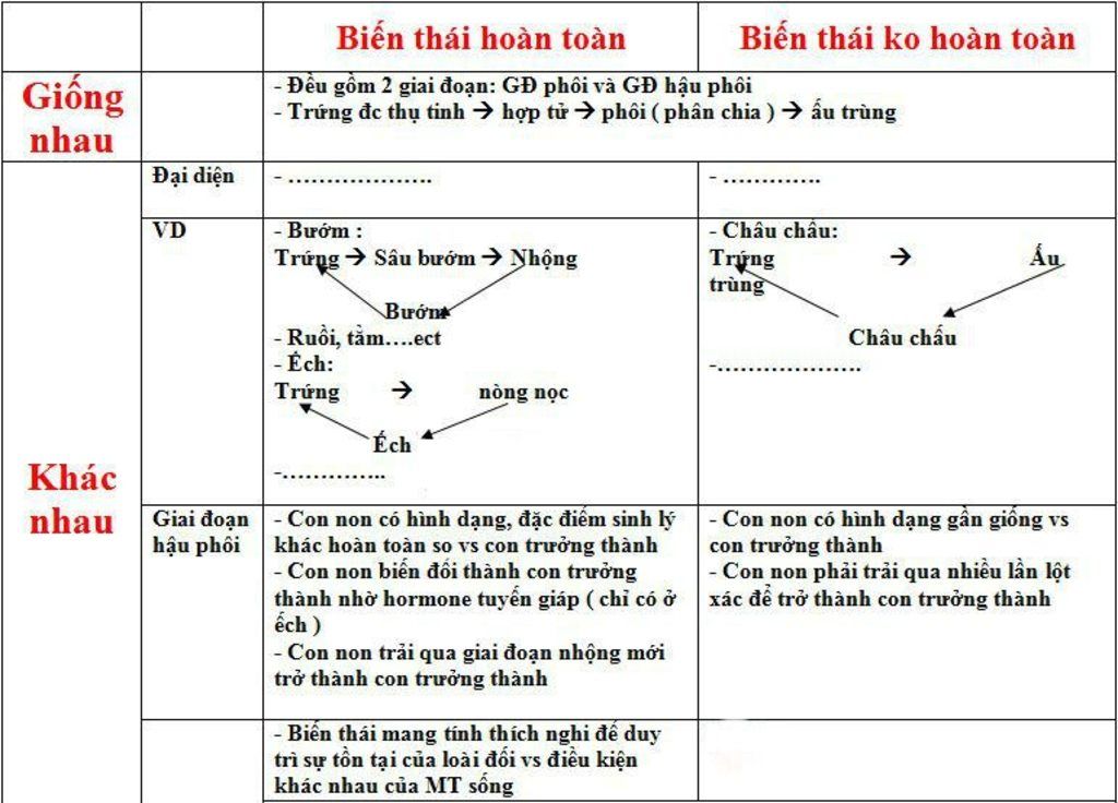 su-khac-nhau-giua-bien-thai-hoan-toan-va-bien-thai-ko-hoan-toan