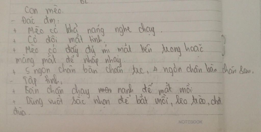 tim-hieu-ve-cac-dac-diem-ve-ngoai-hinh-cua-cac-giong-ga-giong-lon-hoac-mot-so-vat-nuoi-khac-nhu