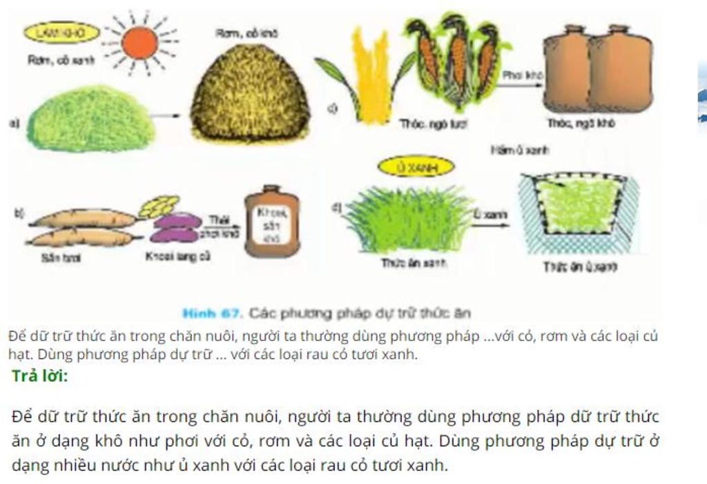 tim-ho-mk-may-bai-tap-tinh-huong-chon-phuong-phap-che-bien-thuc-an-voi-a-lm-on-p-s-trong-bai-38