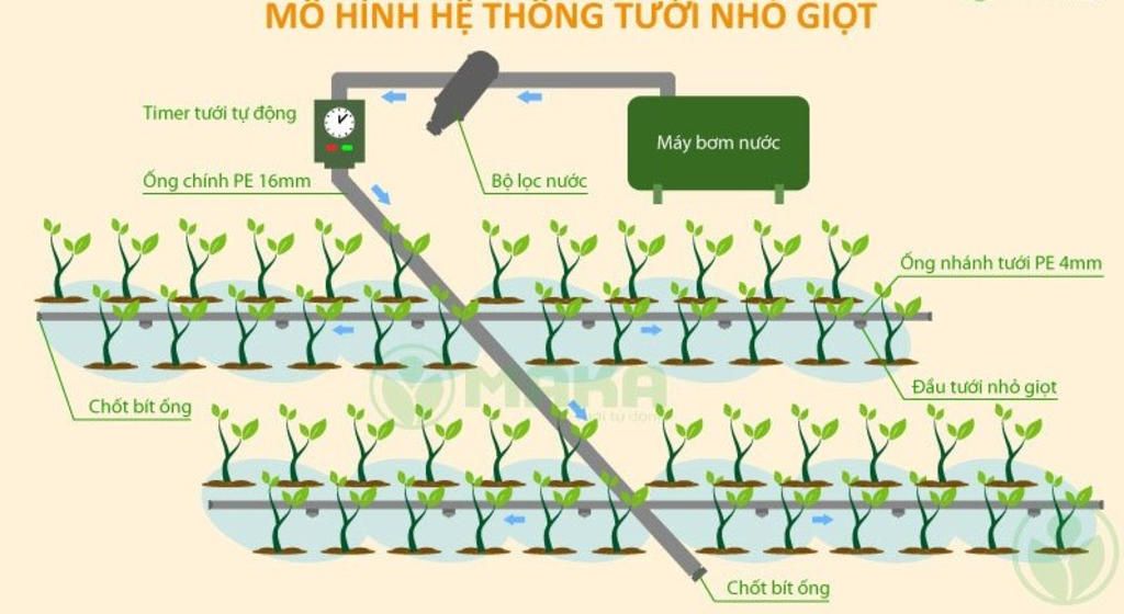 ve-mo-hinh-tuoi-cay-giot-nuoc-ra-giay