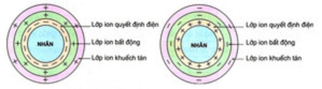 ve-so-do-cau-tao-keo-am-co-10-ion-o-lop-ion-quyet-dinh