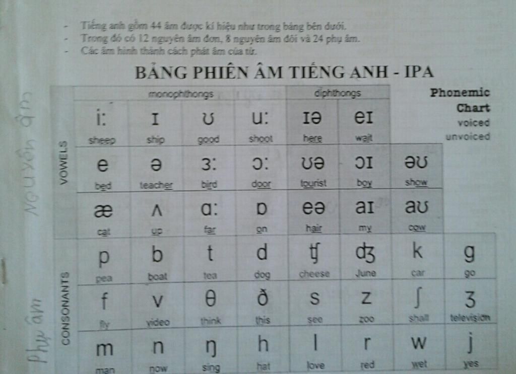 ve-so-do-tu-duy-bang-phien-am-quoc-te-ipa-dep-noi-dung-bang-chu-cai-44-am-tiet-20-nguyen-am-gom