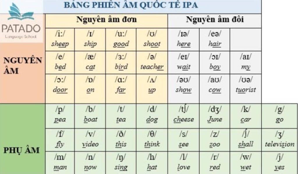 ve-so-do-tu-duy-bang-phien-am-quoc-te-ipa-dep-noi-dung-bang-chu-cai-44-am-tiet-20-nguyen-am-gom