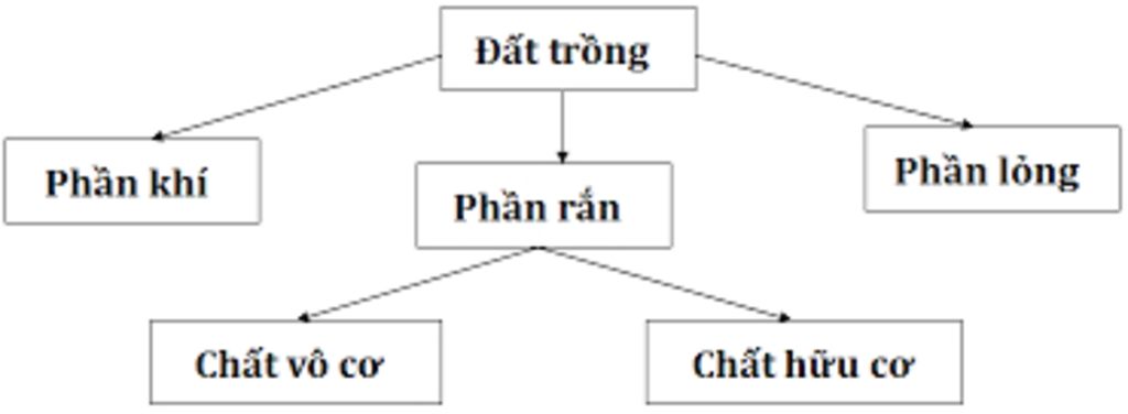 ve-so-do-tu-duy-dat-trong-va-phan-bon