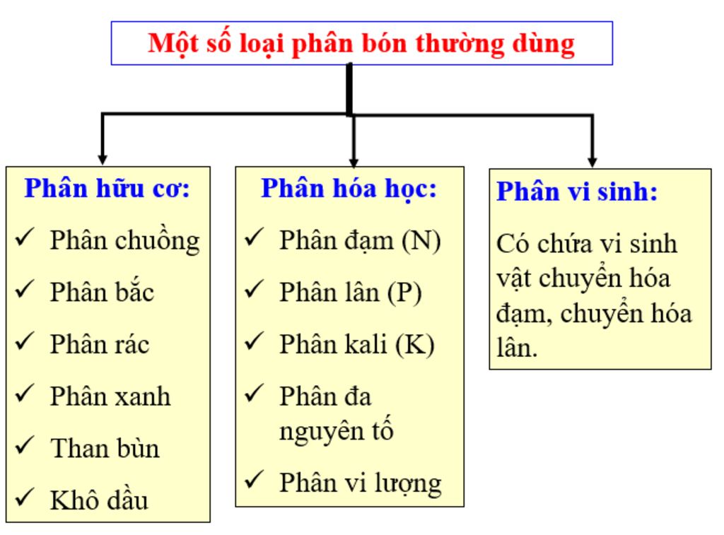 ve-so-do-ve-cac-nhom-phan-bon