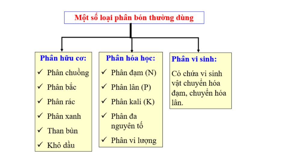 ve-so-do-ve-cac-nhom-phan-bon