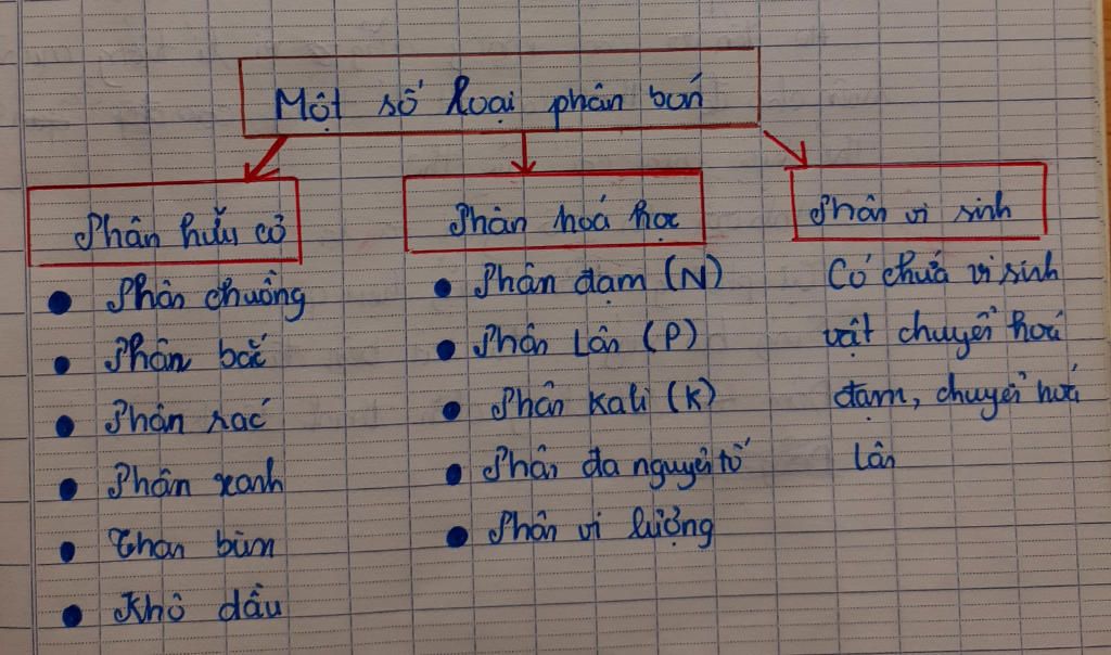 ve-so-do-ve-cac-nhom-phan-bon