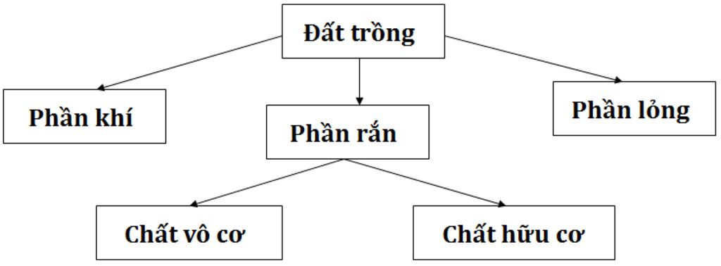 ve-so-do-ve-thanh-phan-dat-trong