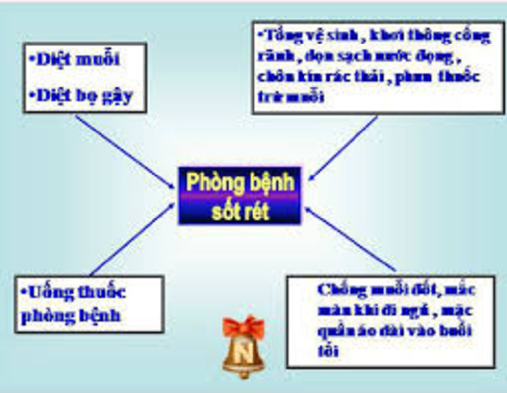 ve-va-trinh-bay-so-do-phong-tru-chong-thiet-hai-cay-trong