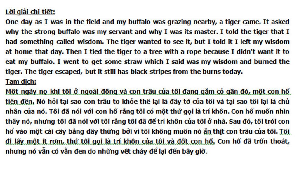 viet-mo-doan-va-ket-doan-cua-bai-doc-how-the-tiger-got-his-striper