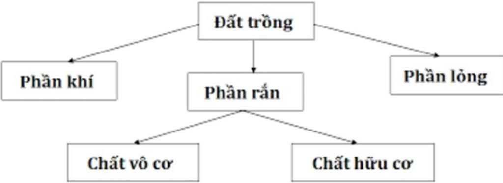 viet-so-do-tu-duy-cho-chu-de-dat-trong-cong-nghe-10