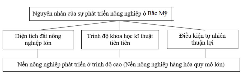 2-lap-so-do-ve-cac-nhan-to-dan-den-nen-nong-nghiep-bac-mi-dat-hieu-qua-cao