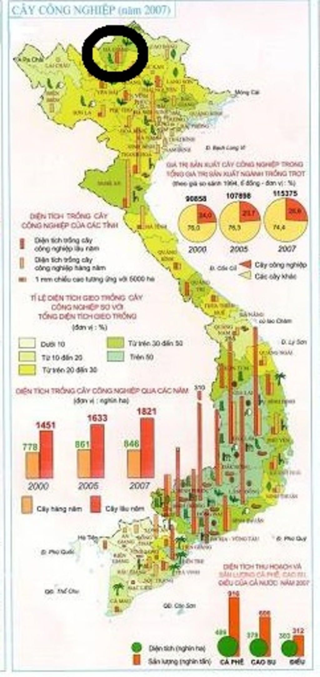 atlat-trang-19-tinh-nao-co-dien-tich-trong-cay-cong-nghiep-lon-nhat-a-ha-giang-b-tuyen-quang-c-p