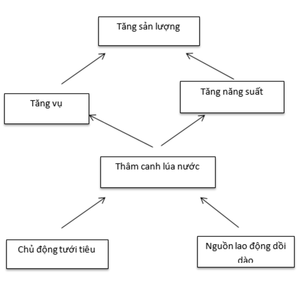 cac-hinh-thuc-canh-tac-nong-nghiep-o-doi-nong