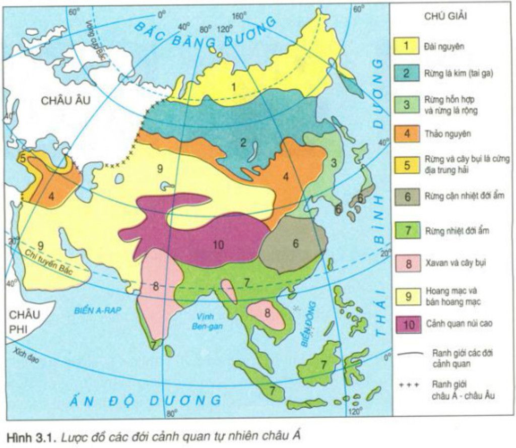 canh-quan-thien-nhien-cua-chau-a-phan-hoa-da-dang