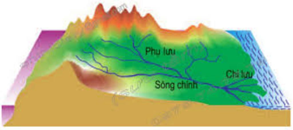 cau-1-a-vi-sao-nuoc-bien-va-dai-duong-lai-man-b-giai-thich-do-man-khac-nhau-o-cac-bien-va-dai-du