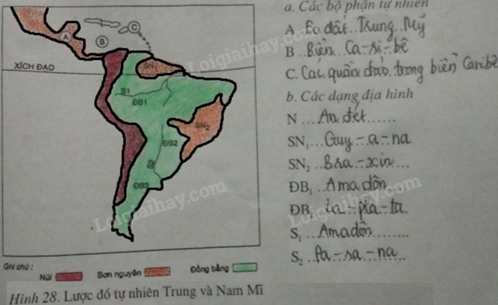 cau-1-khi-hau-bac-mi-phan-hoa-da-dang-chiu-tac-dong-cua-cac-yeu-to-nao-cau-2-chau-nam-cuc-khong