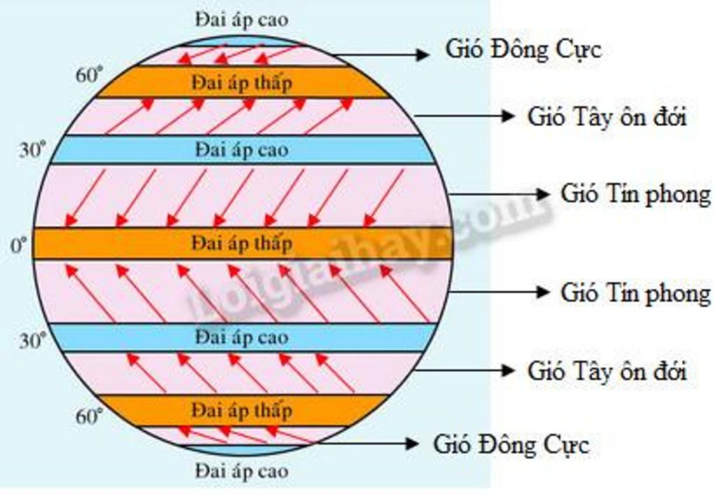 cau-1-sap-ep-cac-y-o-cot-a-voi-cac-y-o-cot-b-sao-cho-dung-khoi-khi-a-tinh-chat-b-chon-a-va-b-cho