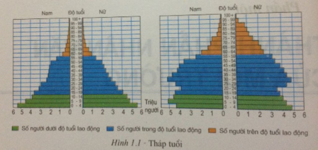 cho-biet-hinh-dang-cua-hai-thap-tuoi-khac-nhau-nhu-the-nao