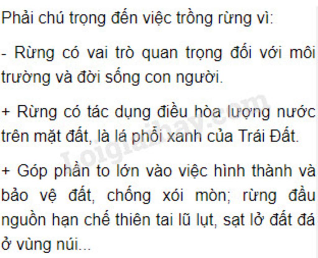 cho-biet-trong-rung-co-vai-tro-nhu-the-nao-doi-voi-dat-dai